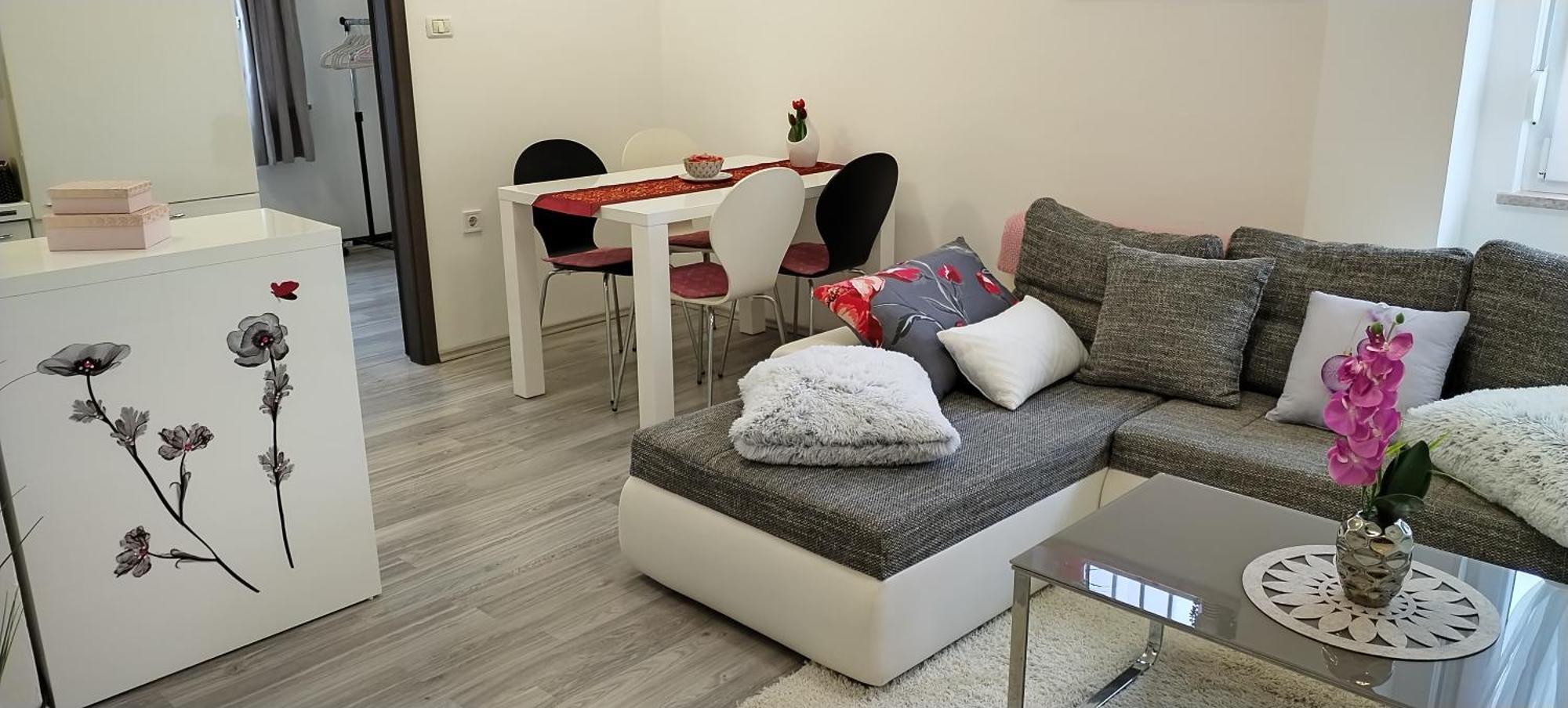 Apartments Mary & Free Parking ロヴィニ 部屋 写真