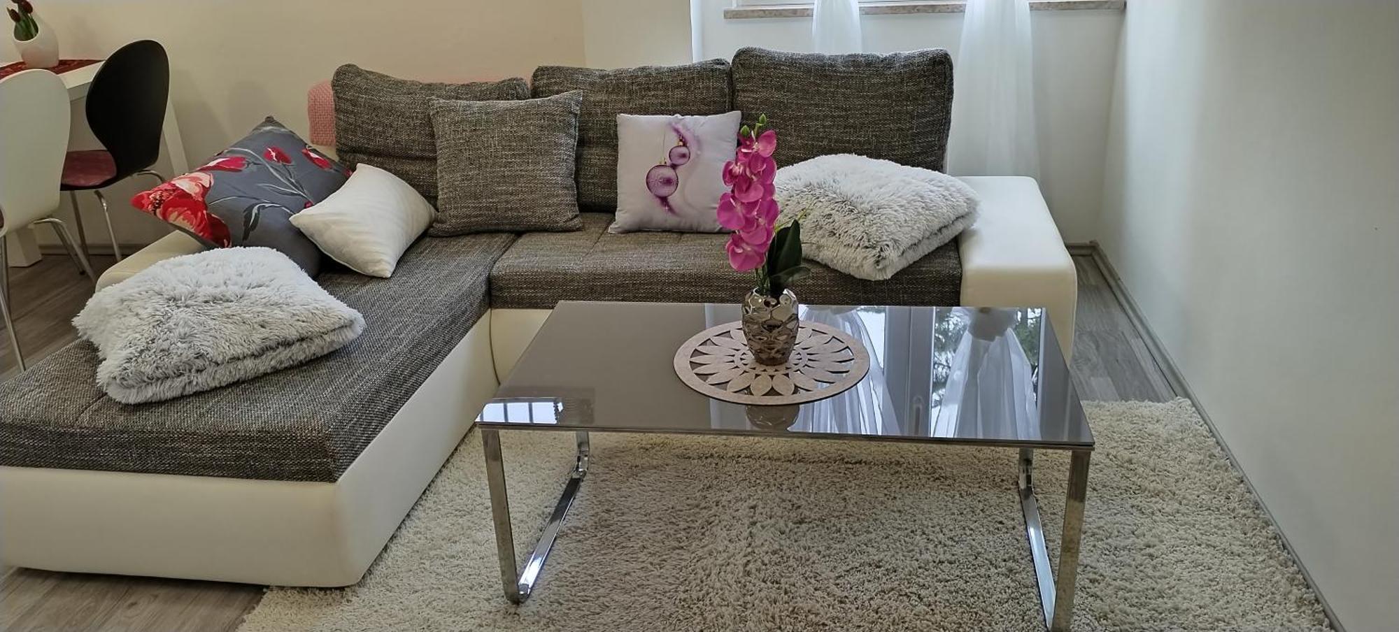 Apartments Mary & Free Parking ロヴィニ 部屋 写真